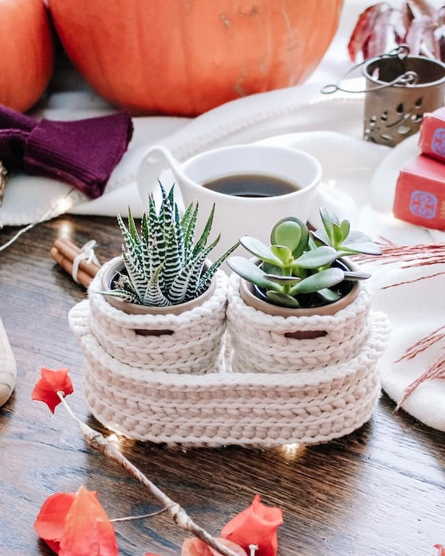 cream crochet nesting pots with two round pots containing small succulents in terracotta pots, nestled inside a larger oval nesting basket