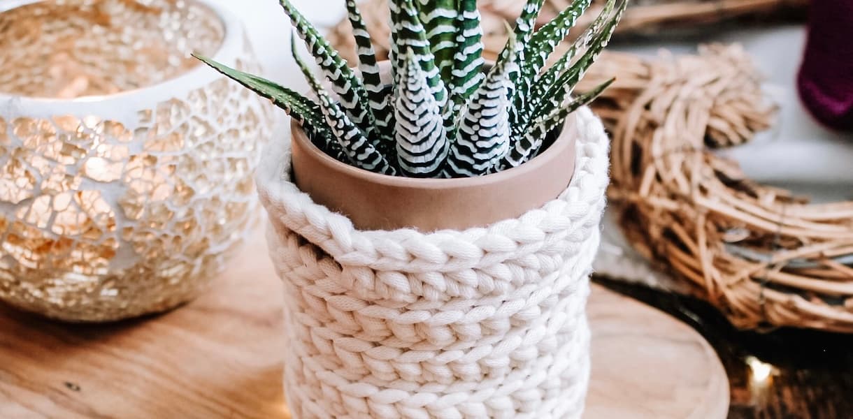 Cream crochet pot with small cactus succulent inside in a terracotta pot