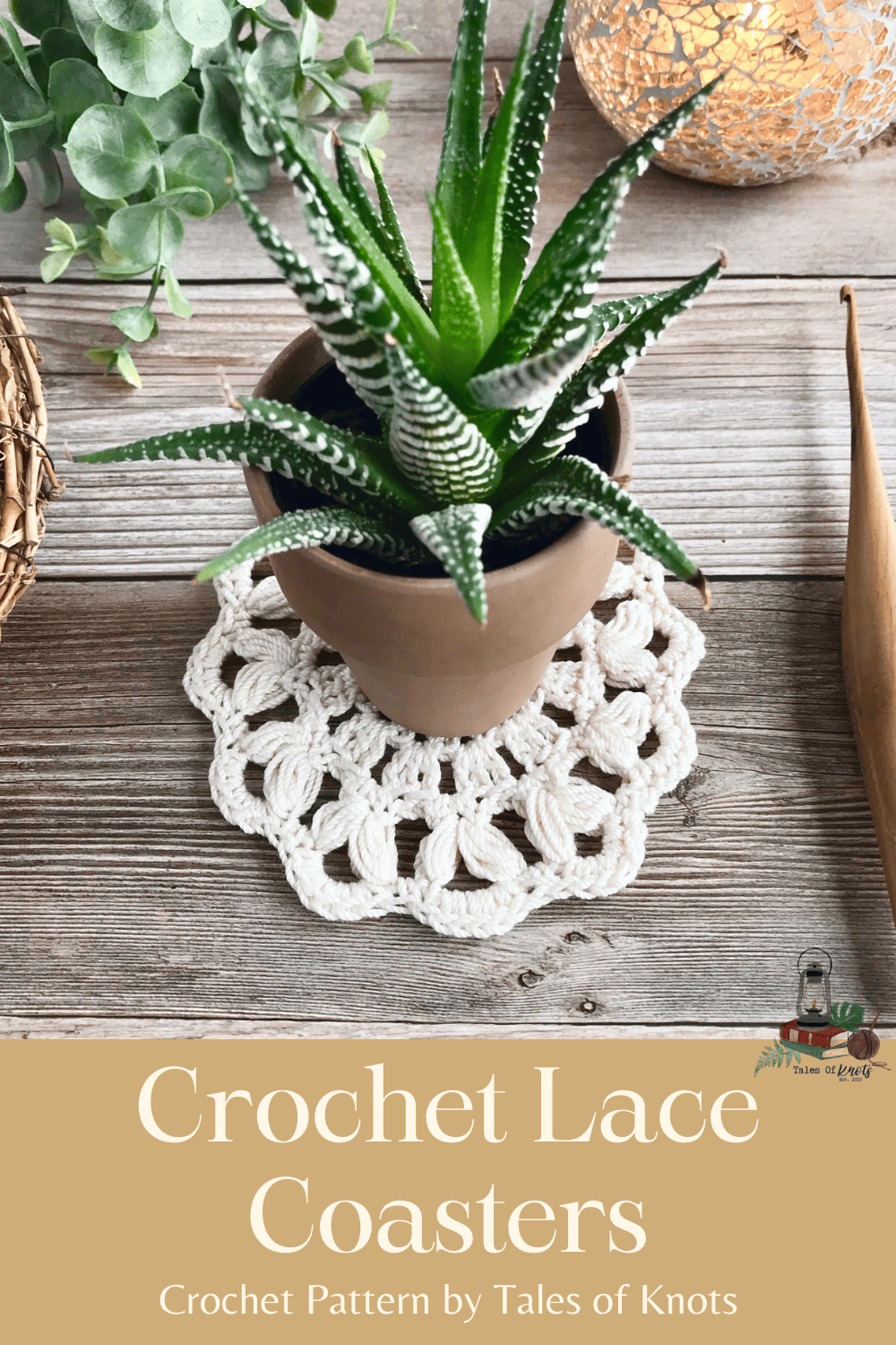 flatlay of crochet lace coasters with succulent in a clay pot